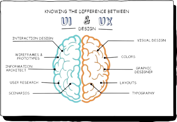Usability and Interaction Design